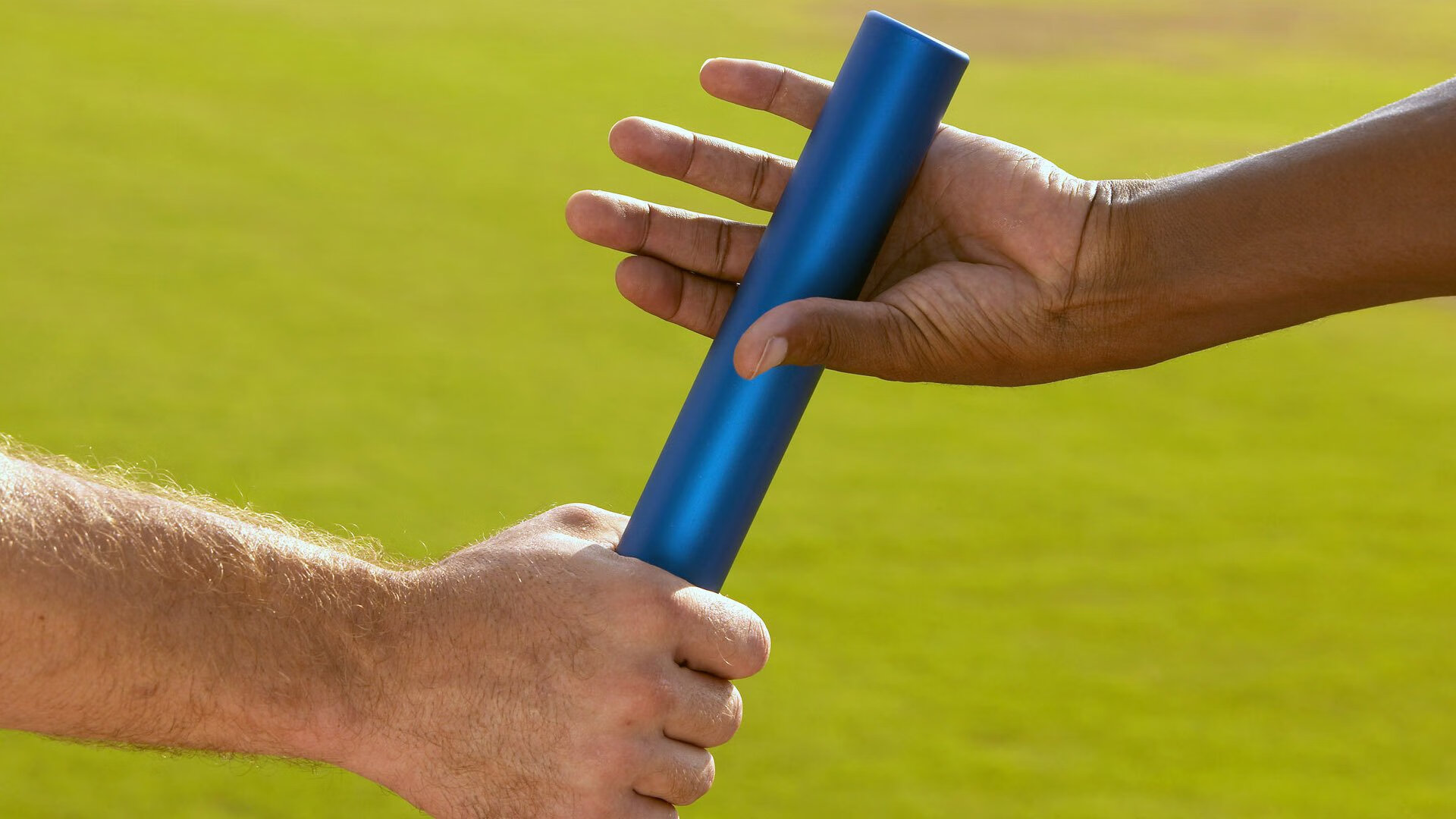 南非橄榄球潜力爆发，战绩引发全球关注，南非 橄榄球